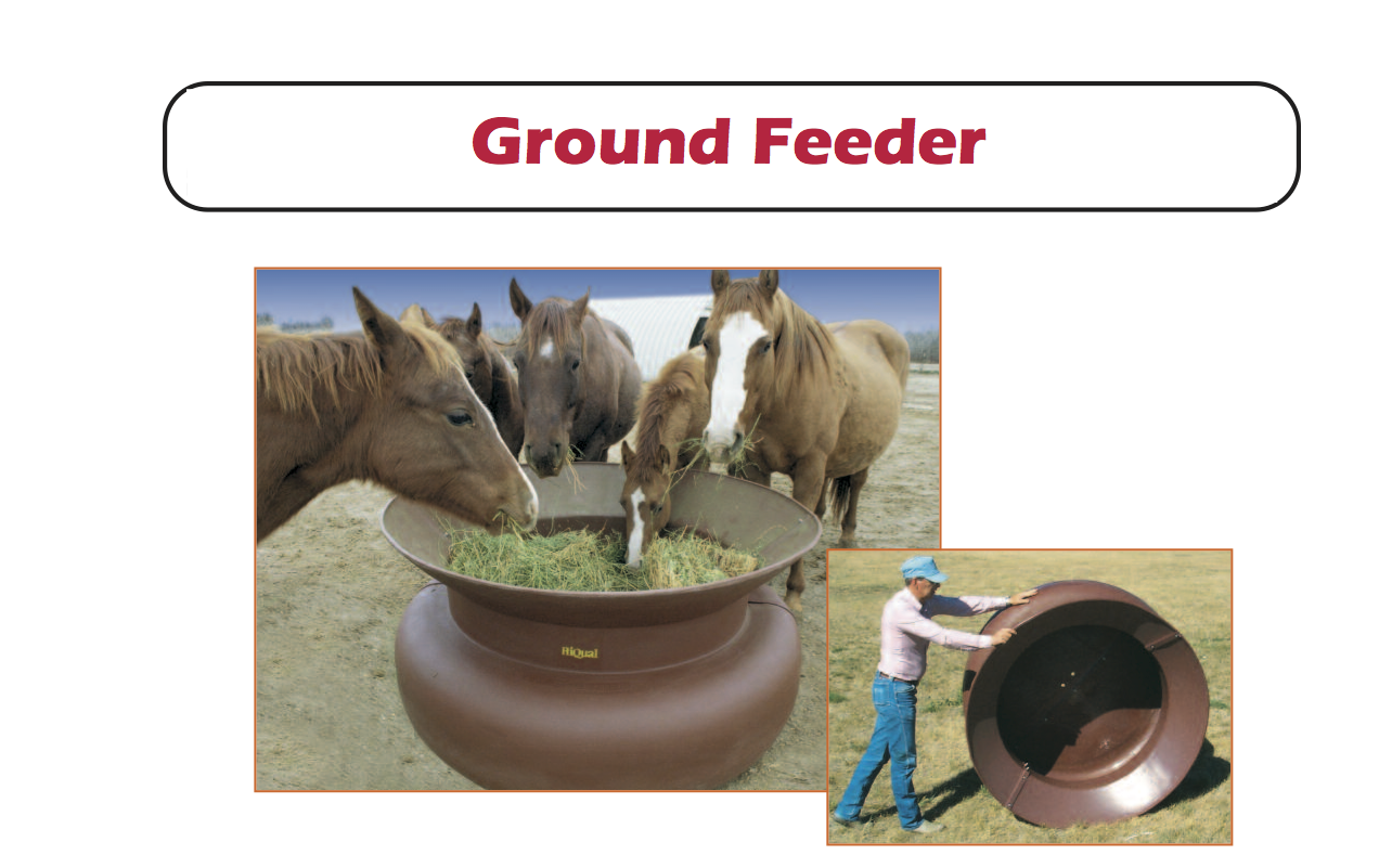 HiQual - ground feeder ground feeder